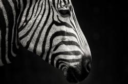 开云平台-决战美加墨，巴尔韦德的绝境重生之夜