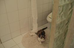 开云下载-利拉德神之一击！湖人惊险力克76人