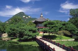 -枫叶与彩虹的碰撞，富安健洋燃爆跨界足球史诗