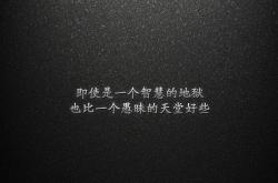 开云体育在线-卡萨布兰卡之夜的绝杀，2026世界杯巅峰对决，突尼斯致命一击击溃塞尔维亚