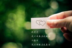 开云体育官方网站-奇迹之夜，保加利亚绝杀荷兰，登贝莱导演惊天逆转