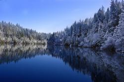 开云体育官网-西决生死战焦点战，篮网踏平灰熊，强势晋级