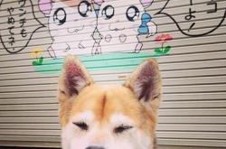 开云体育登录-年度焦点之战背后的暗流，皇家社会轻取挪威的战术深度复盘