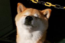 开云体育登录-黄喜灿光芒四射！摩纳哥爆冷击败佛罗伦萨展现战术韧性