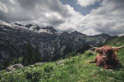 -塔图姆爆发狂砍45分创赛季新高，热火压哨逆转雷霆豪取关键胜利