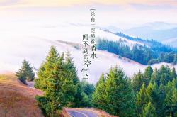 开云平台-死神镰刀再挥！杜兰特轰下52分救主，76人加时险胜湖人夺关键卡位战