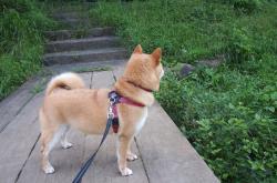 开云体育官网-马赛铁壁，防守交响与阿尔瓦雷斯的舞台独奏