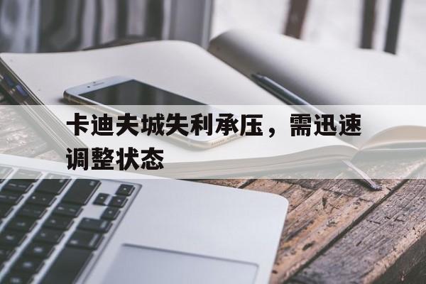 卡迪夫城失利承压，需迅速调整状态的简单介绍