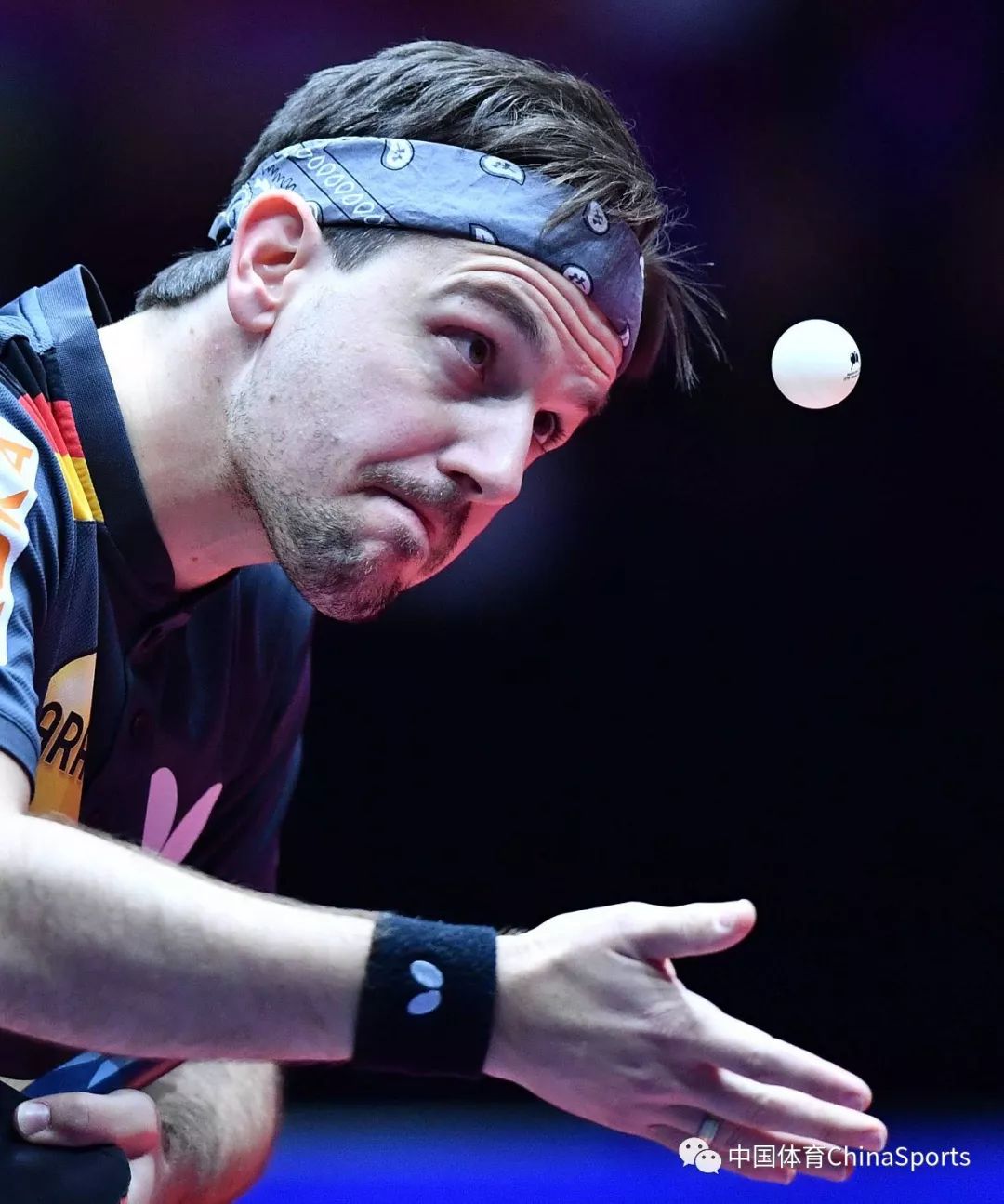 包含比利时乒乓球队轻取波兰乒乓球队，波尔关键制胜的词条