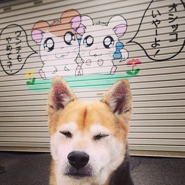 年度焦点之战背后的暗流,皇家社会轻取挪威的战术深度复盘