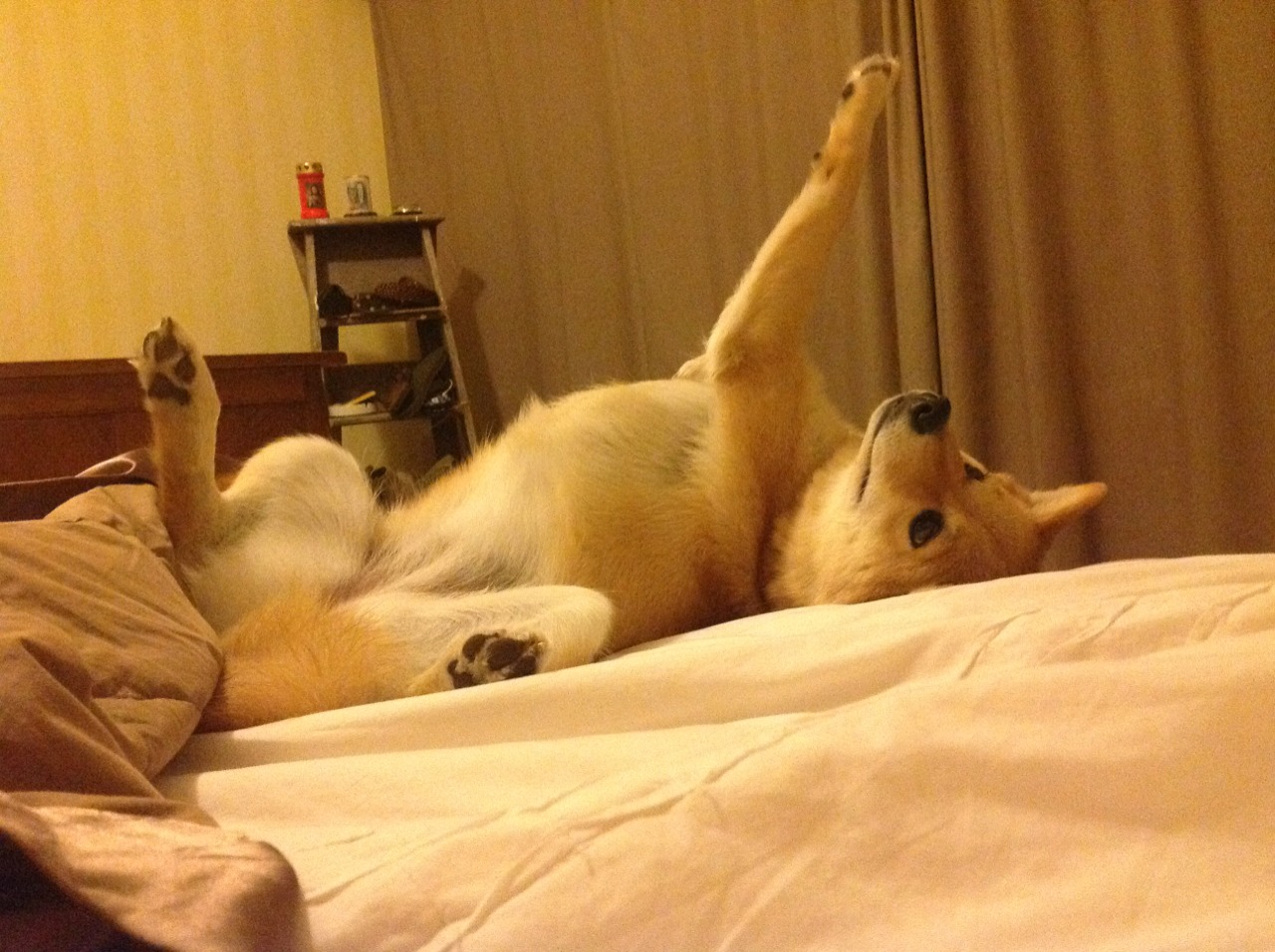 速度与意志，当F1争冠之夜遇见布伦森的末节时刻