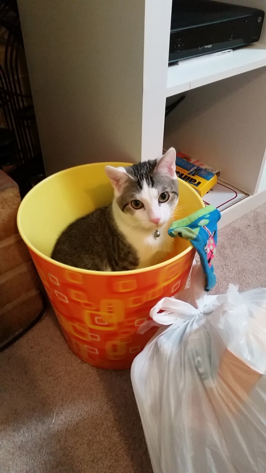 罗德里戈关键先生闪耀,利物浦完胜塞内加尔展现实力