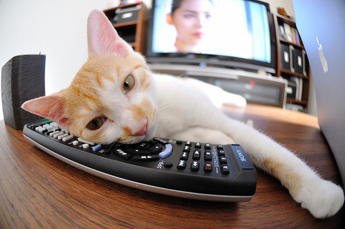 天山箭阵破黄蜂,休城新王斩心魔