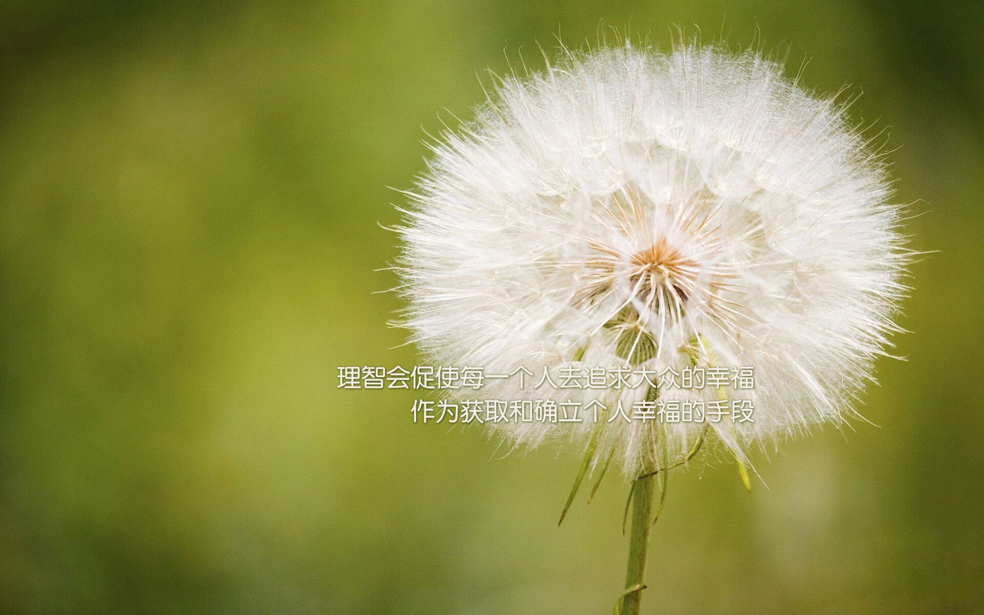 2026世界杯焦点战,凯尔特人制霸火箭,苏格兰绿衫军横扫美国太空梦