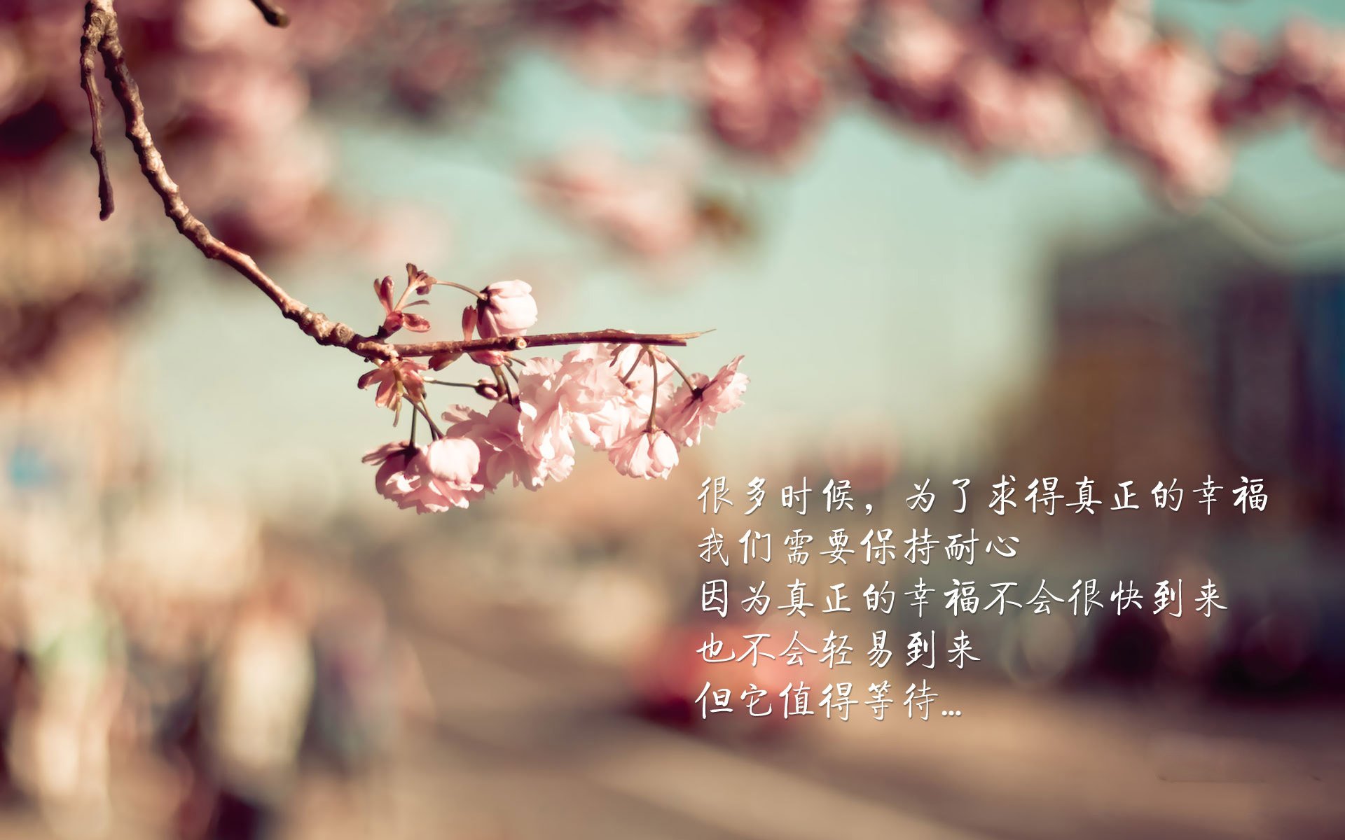 硬仗之王与潘帕斯雄鹰，当厄德高遇见阿根廷式胜利