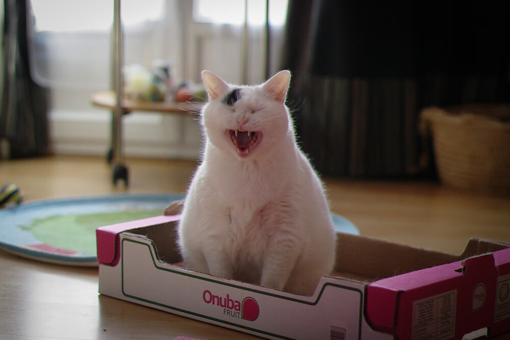 不败金身告破,当76人掀起青春风暴,欧文的关键先生本色刺痛热火