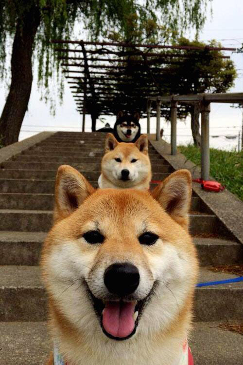 灰熊淘汰76人创奇迹，克莱·汤普森在世界排名争夺战中接管比赛