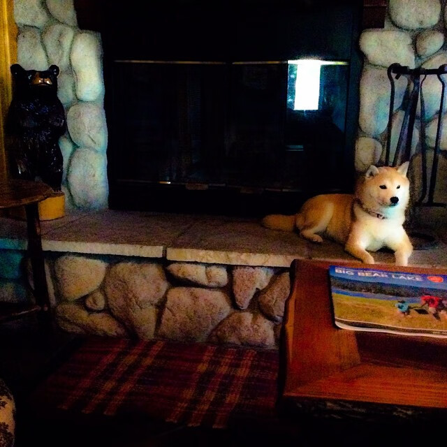 约基奇封神之战，湖人主场遭逆转，山西演绎东方神话