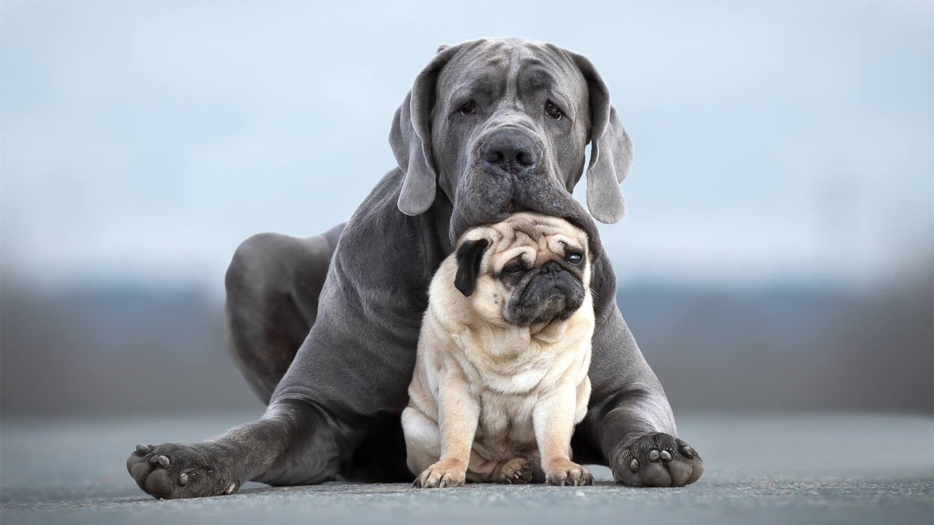 贝恩攻防转换核心，马刺正面击溃国王，战术复盘与未来启示