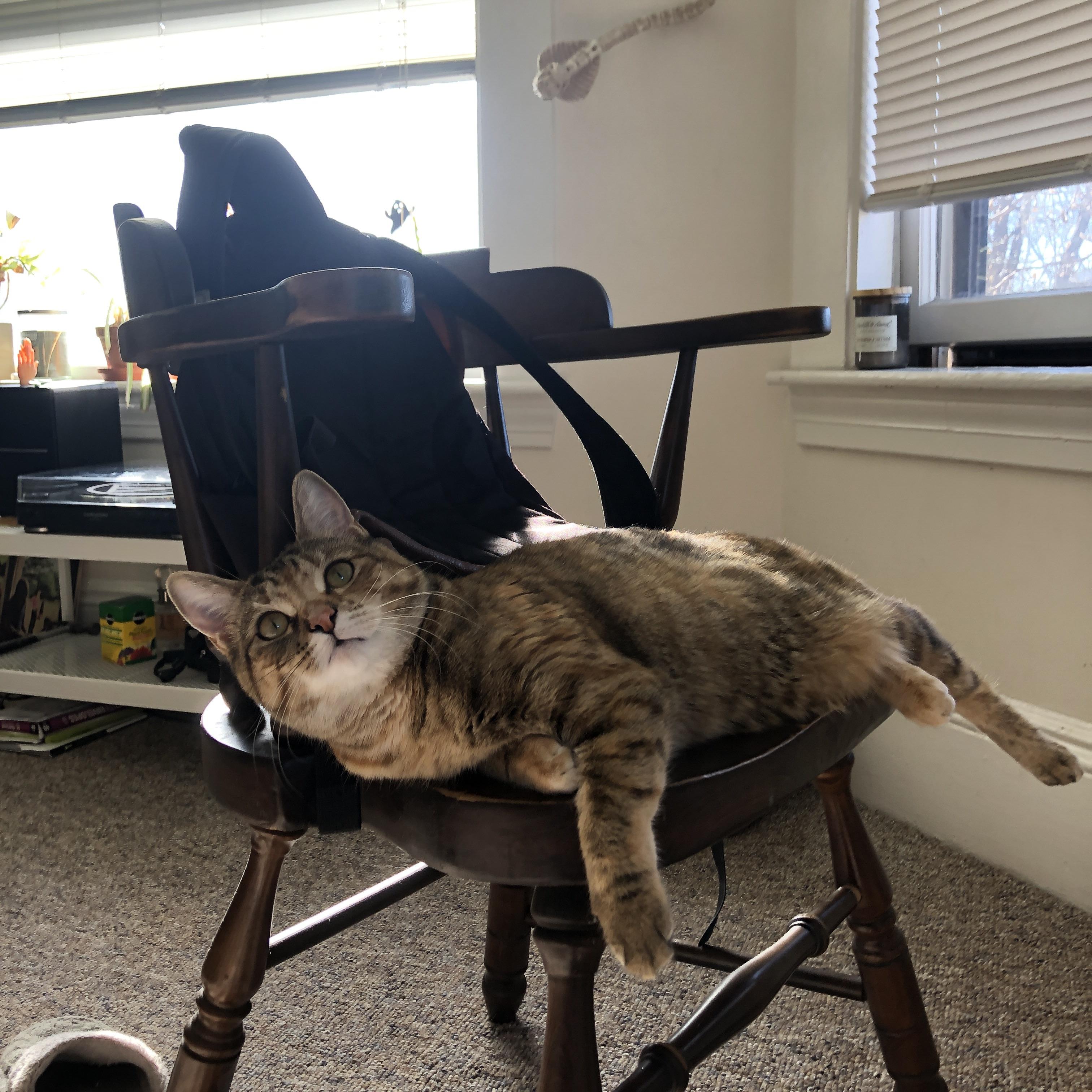 风暴眼中的英雄,贝恩一锤定音助德甲争冠战之夜沸腾