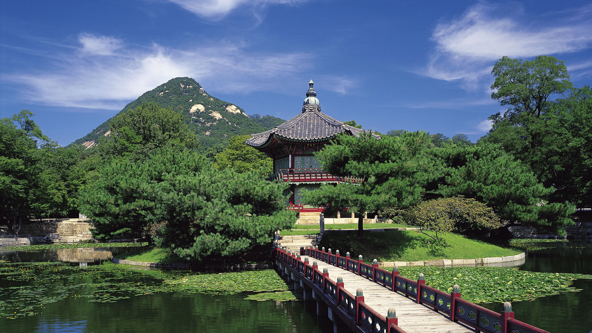 枫叶与彩虹的碰撞，富安健洋燃爆跨界足球史诗